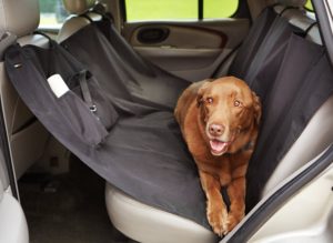 accessoires pour chien housse de voiture